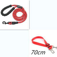 HKM-5291965 Reflective Nylon Dog Leash with Foam Handle for Comfortable Walking and Training