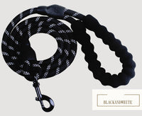 HKM-5291965 Reflective Nylon Dog Leash with Foam Handle for Comfortable Walking and Training