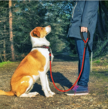 HKM-5291965 Reflective Nylon Dog Leash with Foam Handle for Comfortable Walking and Training
