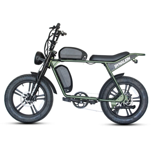 HKM-529619 DYNALION 20" Electric Mountain Bike, 48V 16Ah Lithium Battery, 1000W Motor, 7-Speed Off-Road E-Bike