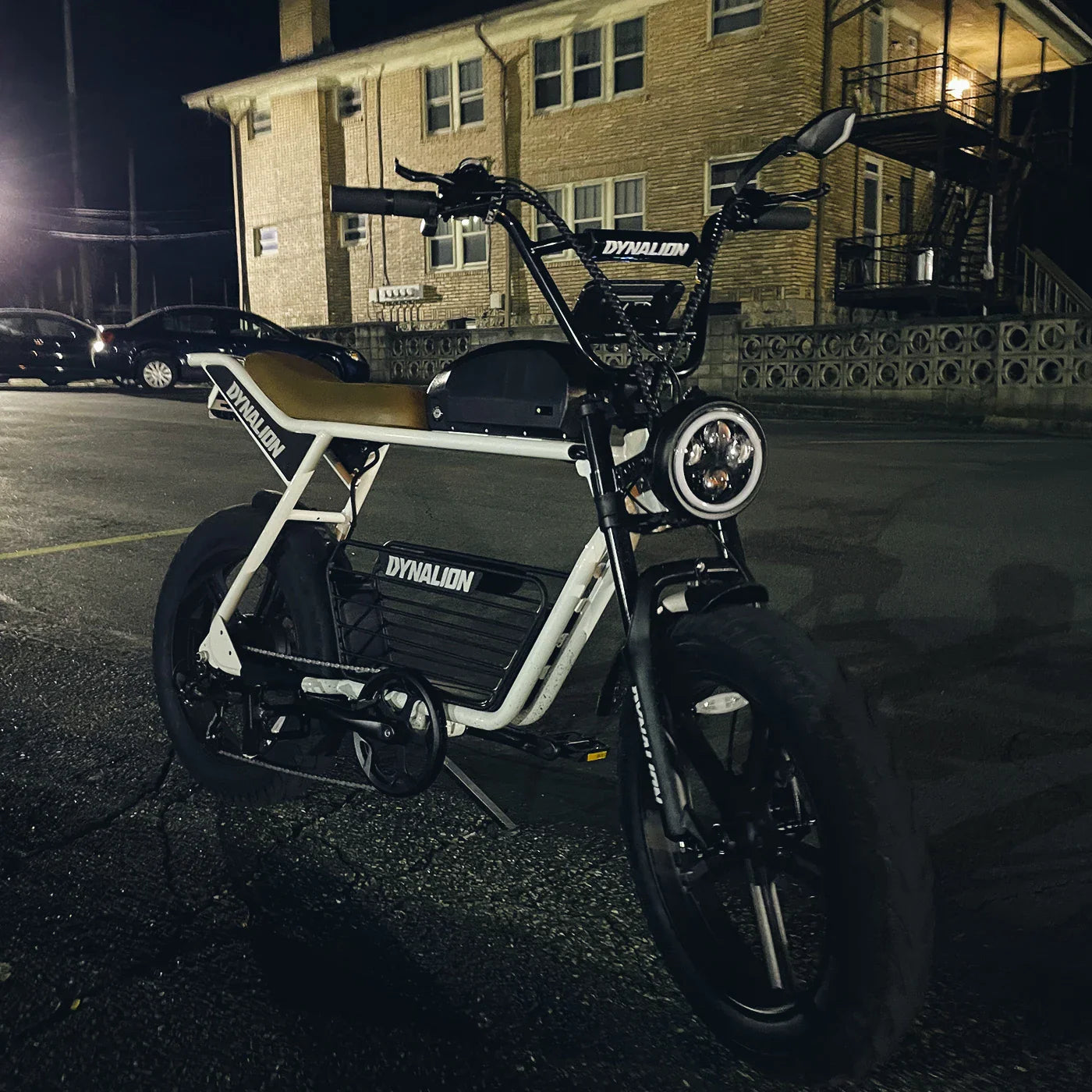 HKM-529619 DYNALION 20" Electric Mountain Bike, 48V 16Ah Lithium Battery, 1000W Motor, 7-Speed Off-Road E-Bike