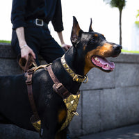 HKM-5297213 Sequined Leather Dog Vest with Traction Rope - Multiple Color Options Available