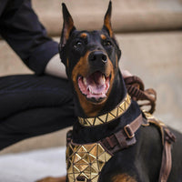HKM-5297213 Sequined Leather Dog Vest with Traction Rope - Multiple Color Options Available
