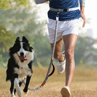 HKM-5297725 Outdoor Running Dog Leash - Adjustable Polyester with Foam Grip, Multiple Colors Available