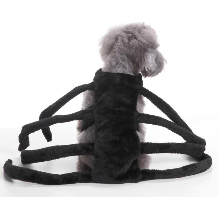 HKM-5302077 Dog Spider Costume for Pets - Unique Design, Multiple Sizes Available