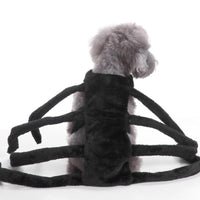 HKM-5302077 Dog Spider Costume for Pets - Unique Design, Multiple Sizes Available