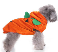 HKM-5302077 Dog Spider Costume for Pets - Unique Design, Multiple Sizes Available