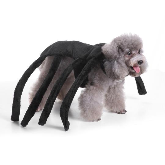 HKM-5302077 Dog Spider Costume for Pets - Unique Design, Multiple Sizes Available