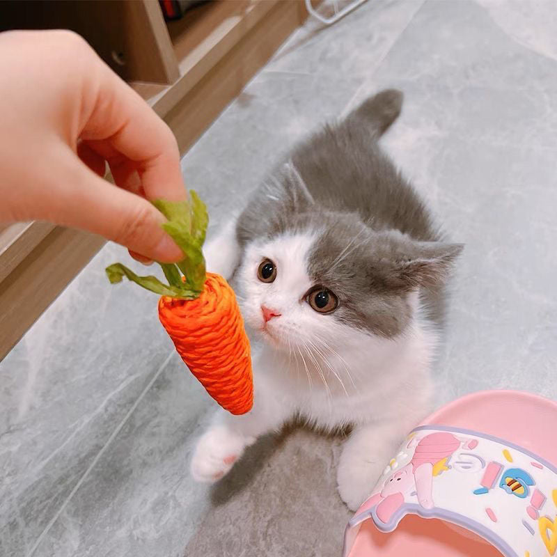 HKM-5304509 Carrot-Shaped Cat Scratch Board for Kittens - Molar Toy Made from Paper