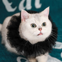 HKM-5305661 Royal Pet Cat Cape with Lace Collar and Crown - Red, Black, Green, White Sizes S & M
