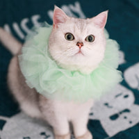 HKM-5305661 Royal Pet Cat Cape with Lace Collar and Crown - Red, Black, Green, White Sizes S & M