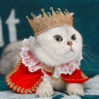 HKM-5305661 Royal Pet Cat Cape with Lace Collar and Crown - Red, Black, Green, White Sizes S & M