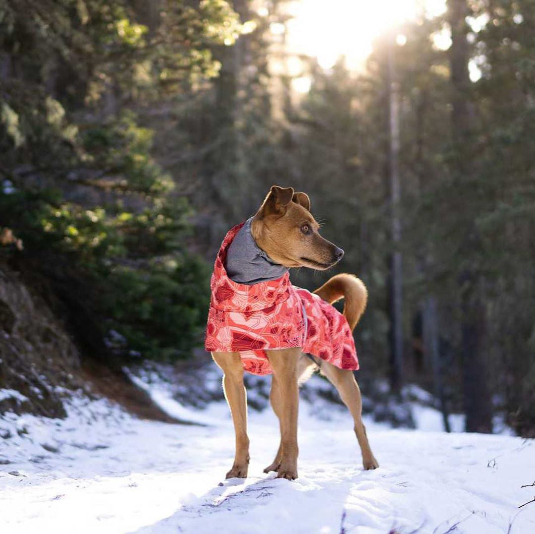 HKM-5308093 Quilted Snow Dog Ski Suit for Autumn and Winter in Emerald Green and Orange Red