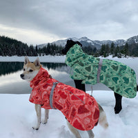 HKM-5308093 Quilted Snow Dog Ski Suit for Autumn and Winter in Emerald Green and Orange Red