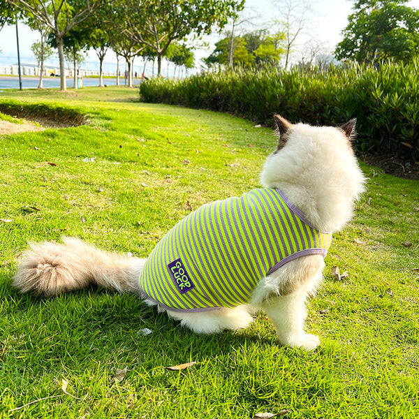 HKM-5309245 Cool Breathable Stripe Vest for Small Dogs and Cats in Fluorescent Green and Pink, Casual Cotton Pet Clothing