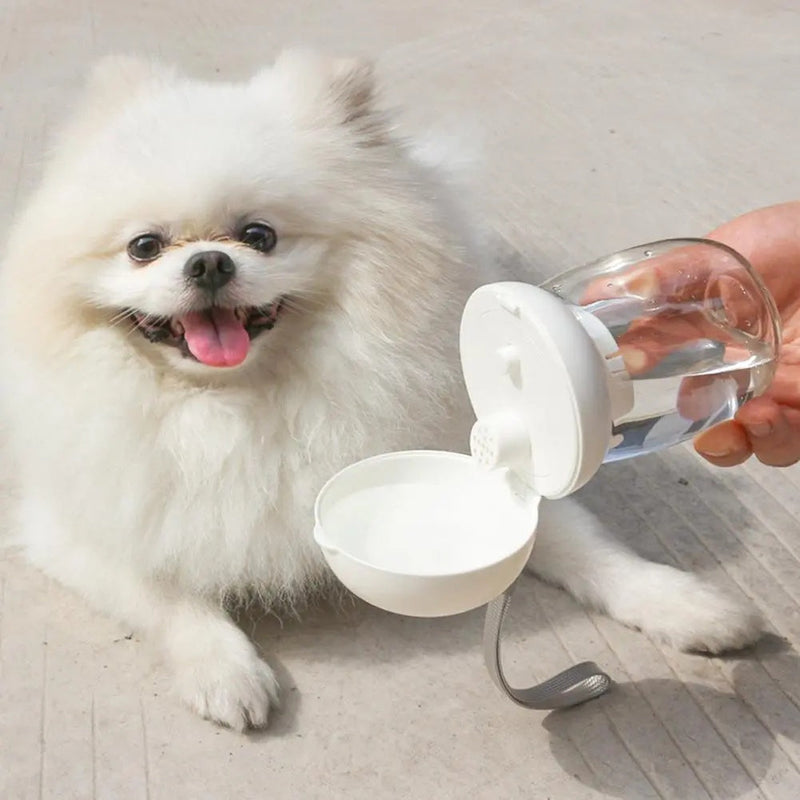 HKM-5316669 Portable Pet Water Bottle for Travel - 300ml & 550ml Options, High Temperature Resistant, Lanyard Included