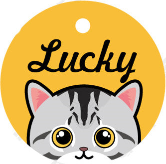HKM-5321021 Custom Acrylic Pet Identity Plate with Bell and Collar Attachment - Lightweight and Elegant Design