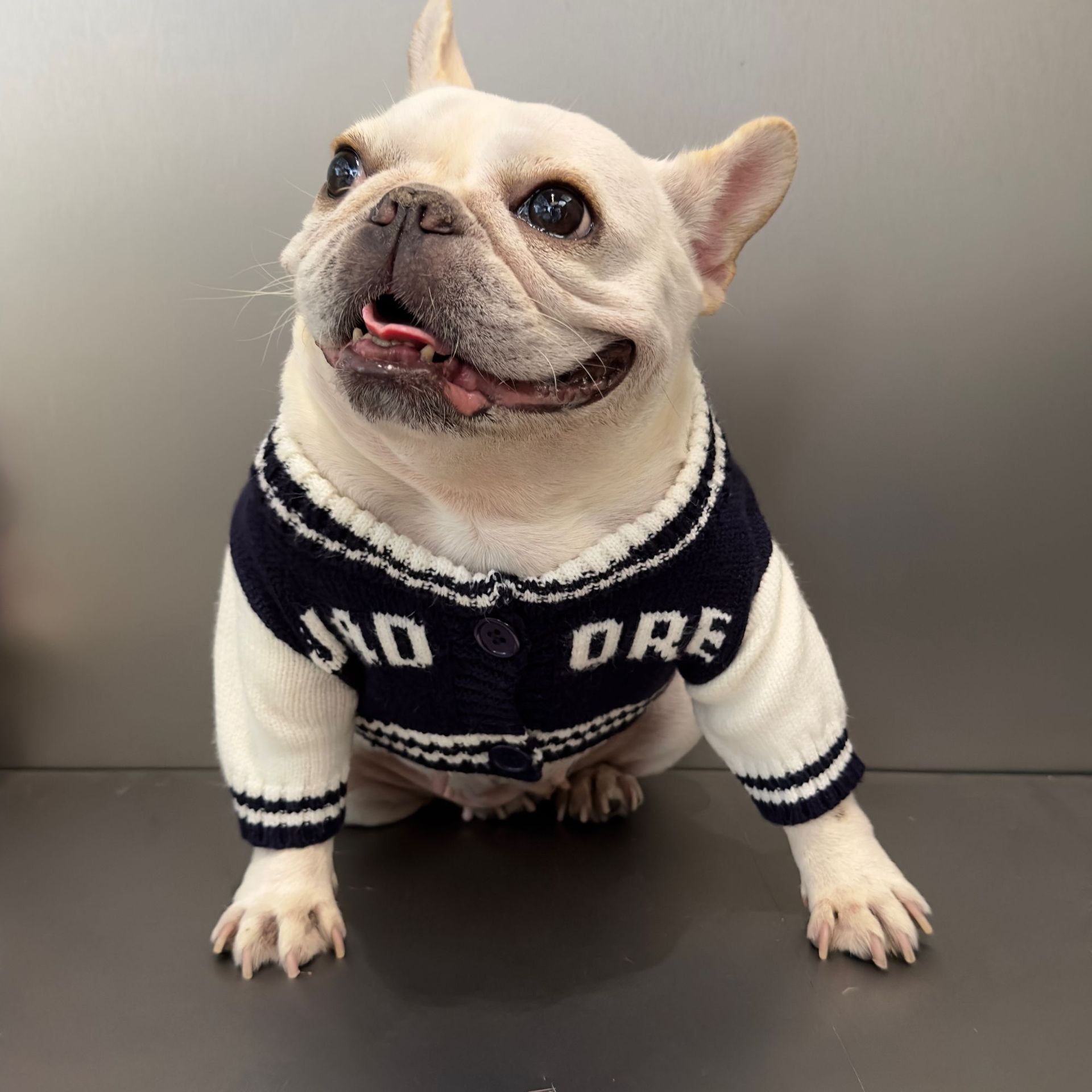 HKM-5322941 Cozy Dark Blue Woolen Pet Sweater for Cats and Dogs - Available in Multiple Sizes