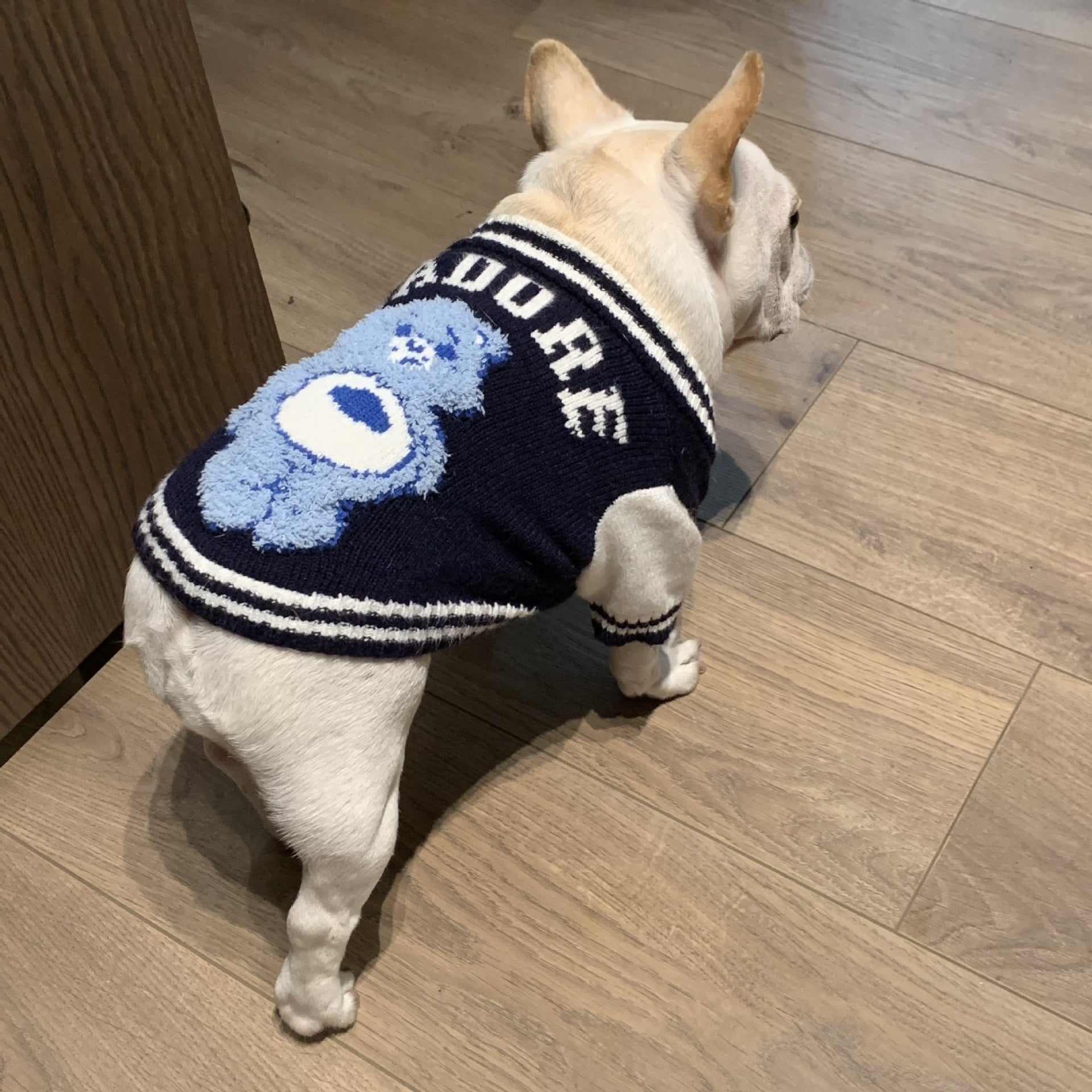 HKM-5322941 Cozy Dark Blue Woolen Pet Sweater for Cats and Dogs - Available in Multiple Sizes