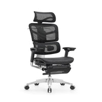 HKM-532435 Ergonomic Office Chair with 4D Armrests and Footrest – Luxury Mesh Swivel Executive Design, BIFMA Certified
