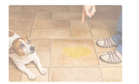 HKM-5326781 Washable Water-Absorbent Dog Training Pad - Multi-Sized for Pets