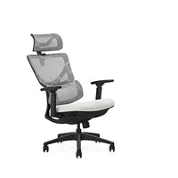 HKM-532755 Ergonomic High-Back Executive Mesh Office Chair with Adjustable 3D Armrests and Swivel Design