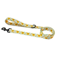 HKM-5329981 Universal Chest and Back Pet Leash Vest - Multiple Designs and Sizes Available