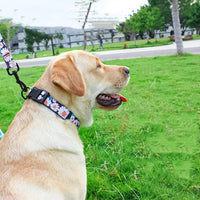 HKM-5329981 Universal Chest and Back Pet Leash Vest - Multiple Designs and Sizes Available
