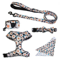 HKM-5329981 Universal Chest and Back Pet Leash Vest - Multiple Designs and Sizes Available