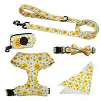 HKM-5329981 Universal Chest and Back Pet Leash Vest - Multiple Designs and Sizes Available