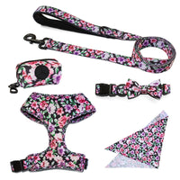 HKM-5329981 Universal Chest and Back Pet Leash Vest - Multiple Designs and Sizes Available