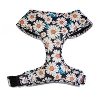 HKM-5329981 Universal Chest and Back Pet Leash Vest - Multiple Designs and Sizes Available
