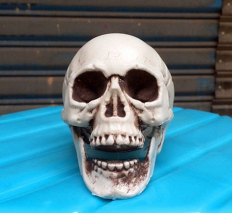 HKM-533267 Mini Plastic Skull Decoration Prop for Haunted House and Secret Room, 5cm Size