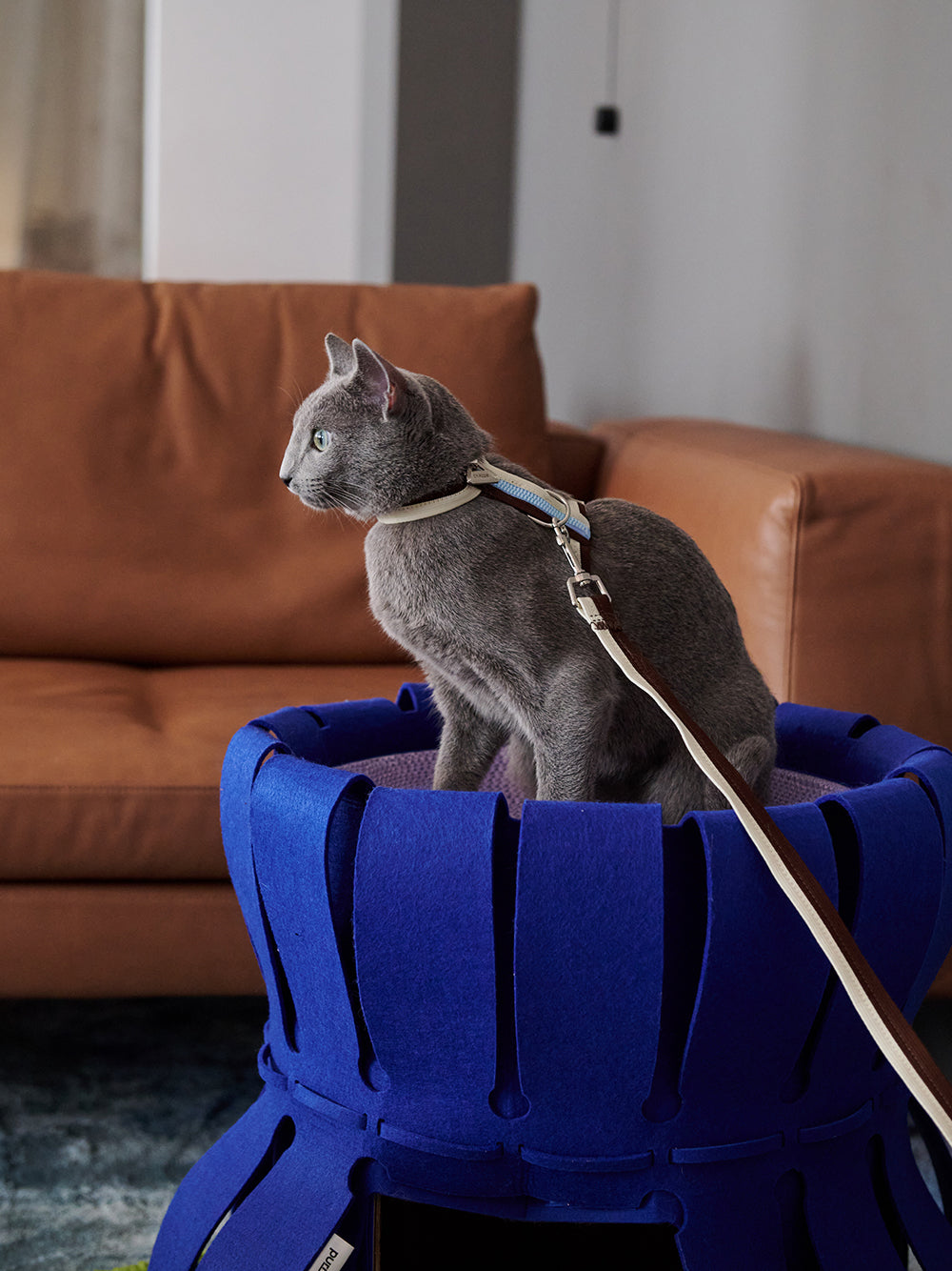 HKM-5336637 Double-Decker Cat Nest with Multi-Functional Scratching Board - Corrugated Paper and Felt, 50x50x40cm
