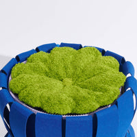 HKM-5336637 Double-Decker Cat Nest with Multi-Functional Scratching Board - Corrugated Paper and Felt, 50x50x40cm