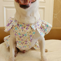 HKM-5342781 Floral Pet Skirt in Blue, Pink, and Purple for Dogs - Multiple Sizes Available