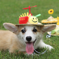HKM-5346365 Adorable Decorative Pet Hats for All Seasons - Various Designs Available