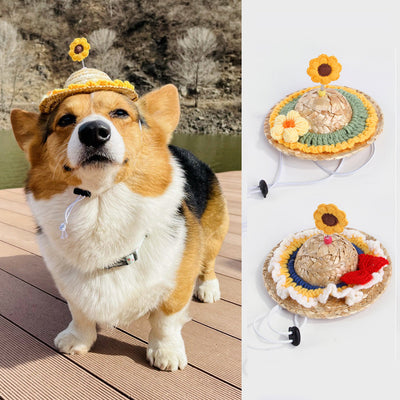 HKM-5346365 Adorable Decorative Pet Hats for All Seasons - Various Designs Available