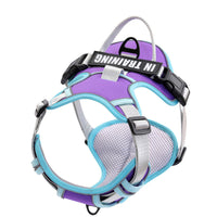 HKM-5351741 Reflective Dog Harness for Small to Large Dogs - Adjustable Chest Strap with Traction Belt