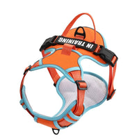 HKM-5351741 Reflective Dog Harness for Small to Large Dogs - Adjustable Chest Strap with Traction Belt