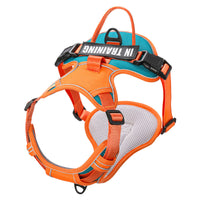 HKM-5351741 Reflective Dog Harness for Small to Large Dogs - Adjustable Chest Strap with Traction Belt