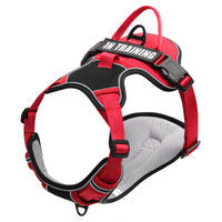 HKM-5351741 Reflective Dog Harness for Small to Large Dogs - Adjustable Chest Strap with Traction Belt