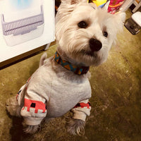 HKM-5361853 Geometric Print Cotton Sweater for Pets in Retro Colors