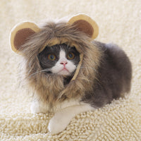 HKM-5368253 Cute Lion Headgear Cat Hat for Adorable Transformations - Non-Woven Material, Sizes S-38cm