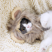 HKM-5368253 Cute Lion Headgear Cat Hat for Adorable Transformations - Non-Woven Material, Sizes S-38cm