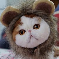 HKM-5368253 Cute Lion Headgear Cat Hat for Adorable Transformations - Non-Woven Material, Sizes S-38cm