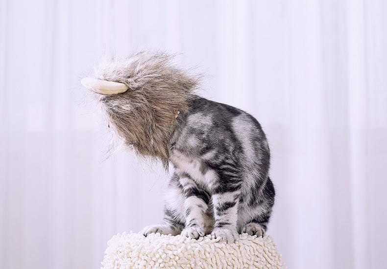 HKM-5368253 Cute Lion Headgear Cat Hat for Adorable Transformations - Non-Woven Material, Sizes S-38cm