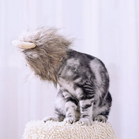 HKM-5368253 Cute Lion Headgear Cat Hat for Adorable Transformations - Non-Woven Material, Sizes S-38cm