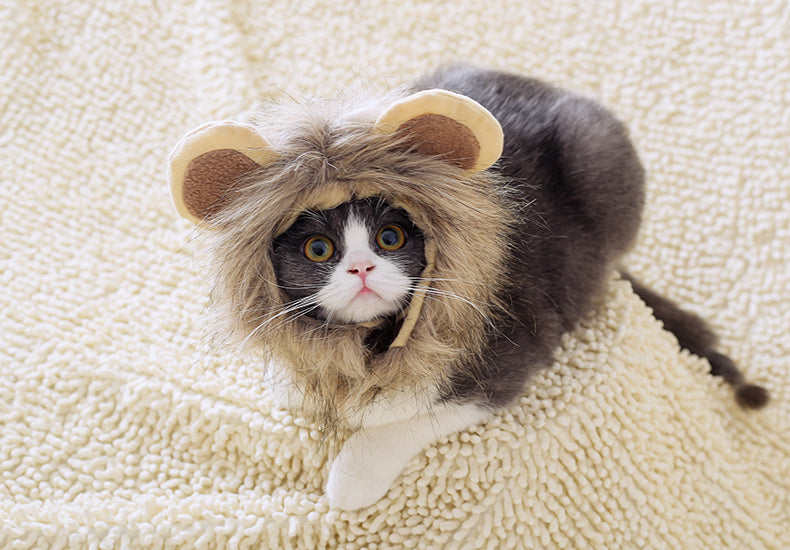 HKM-5368253 Cute Lion Headgear Cat Hat for Adorable Transformations - Non-Woven Material, Sizes S-38cm