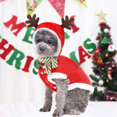 HKM-5379133 Adorable Christmas Dog Sweater with Green Scarf - Cozy Winter Outfit for Pets